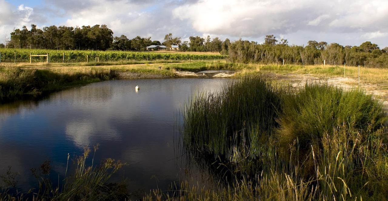 Silversprings Spa Retreat Pet Friendly Cottages And Glampings Metricup Eksteriør billede